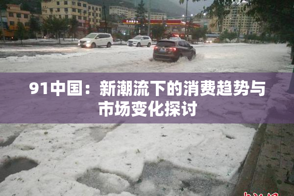 91中国：新潮流下的消费趋势与市场变化探讨