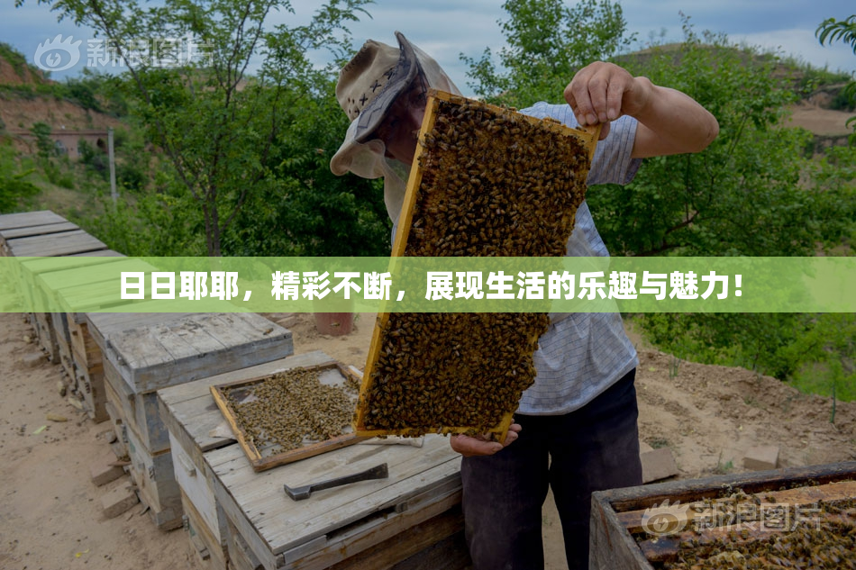 日日耶耶，精彩不断，展现生活的乐趣与魅力！