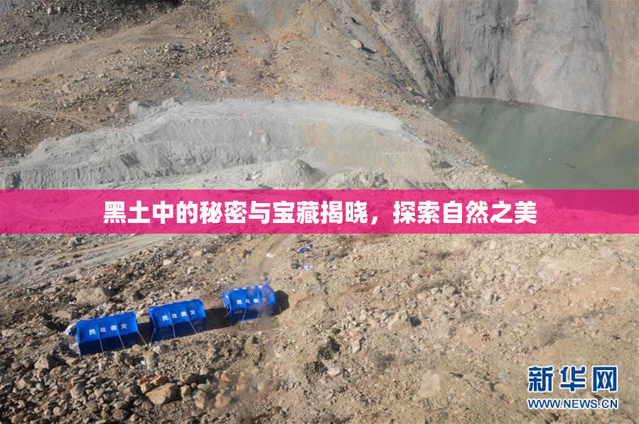 黑土中的秘密与宝藏揭晓，探索自然之美