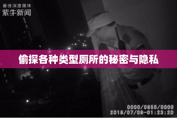偷探各种类型厕所的秘密与隐私