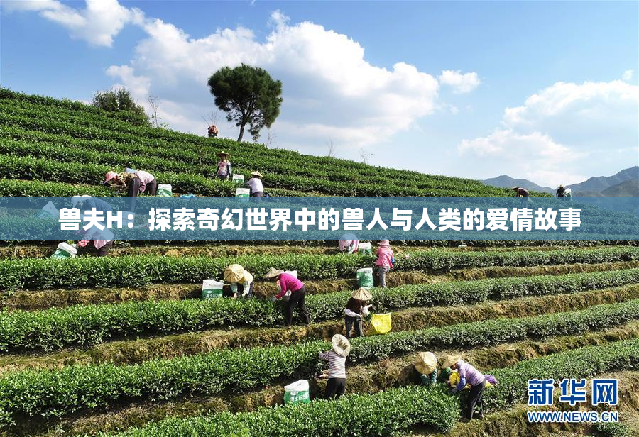 兽夫H：探索奇幻世界中的兽人与人类的爱情故事
