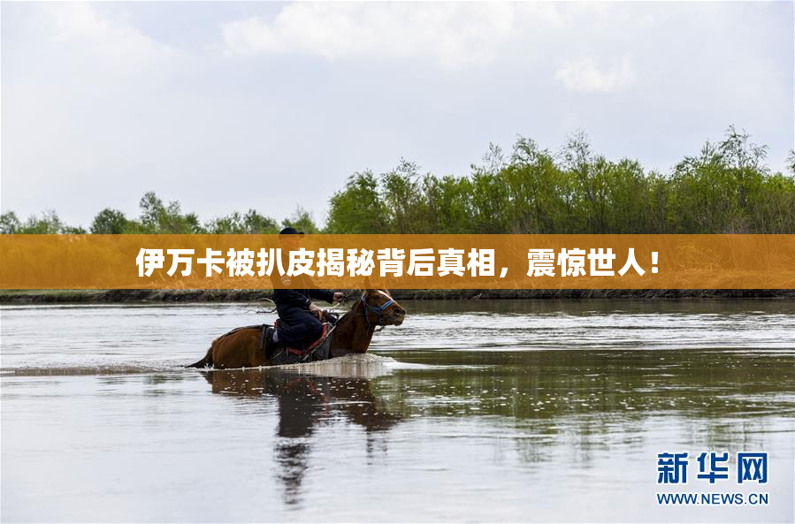 伊万卡被扒皮揭秘背后真相，震惊世人！