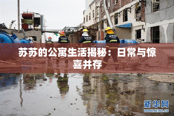 苏苏的公寓生活揭秘：日常与惊喜并存