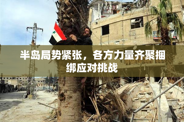 半岛局势紧张，各方力量齐聚捆绑应对挑战