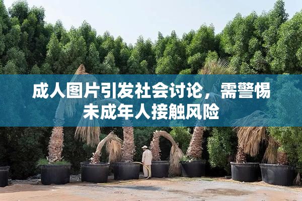 成人图片引发社会讨论，需警惕未成年人接触风险