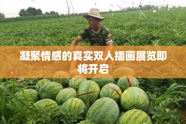 凝聚情感的真实双人插画展览即将开启
