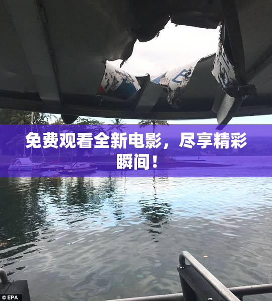免费观看全新电影，尽享精彩瞬间！