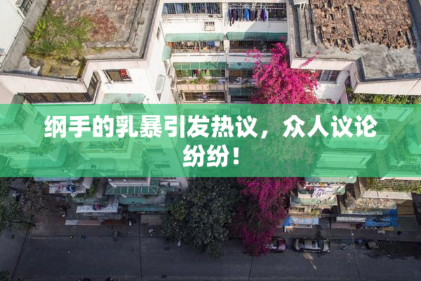 纲手的乳暴引发热议，众人议论纷纷！