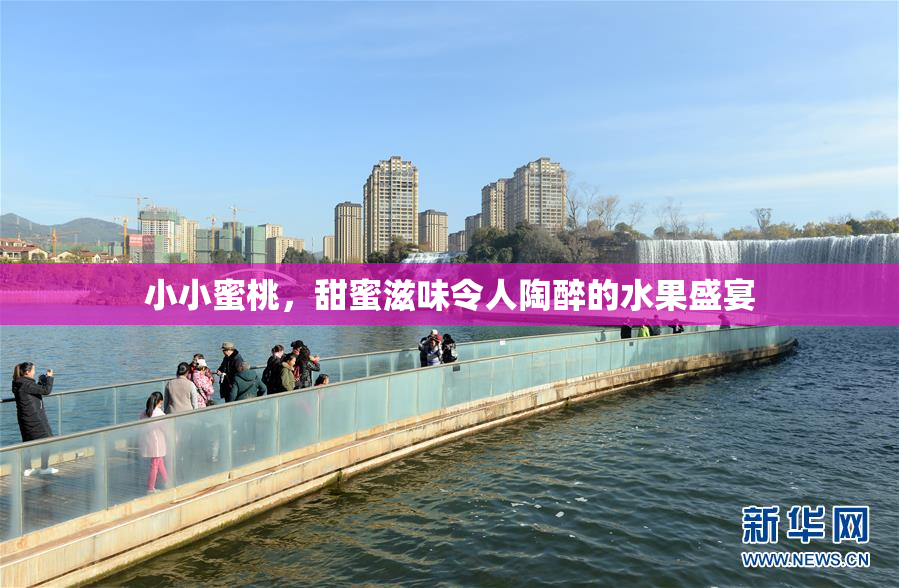 小小蜜桃，甜蜜滋味令人陶醉的水果盛宴