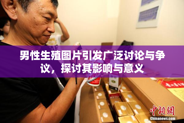 男性生殖图片引发广泛讨论与争议，探讨其影响与意义