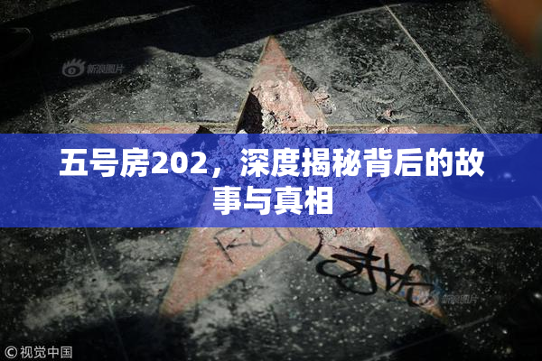 五号房202，深度揭秘背后的故事与真相