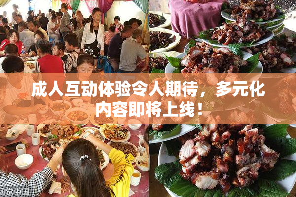 成人互动体验令人期待，多元化内容即将上线！