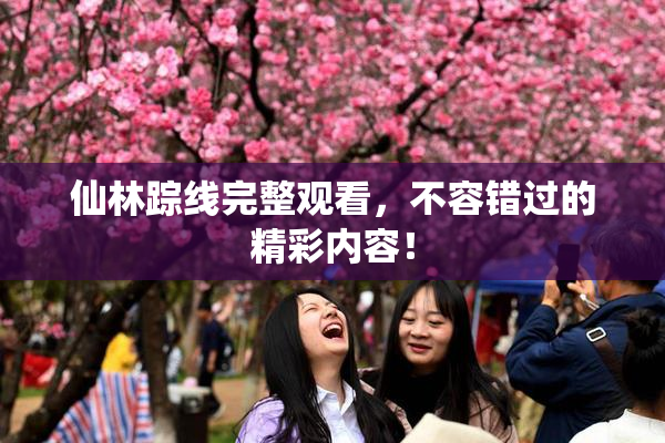 仙林踪线完整观看，不容错过的精彩内容！