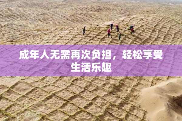 成年人无需再次负担，轻松享受生活乐趣