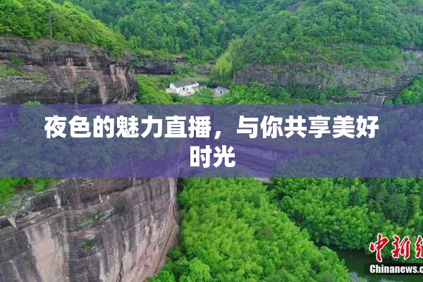 夜色的魅力直播，与你共享美好时光