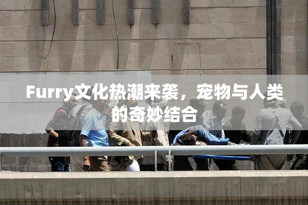 Furry文化热潮来袭，宠物与人类的奇妙结合
