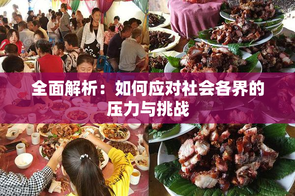 全面解析：如何应对社会各界的压力与挑战