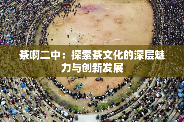 茶啊二中：探索茶文化的深层魅力与创新发展