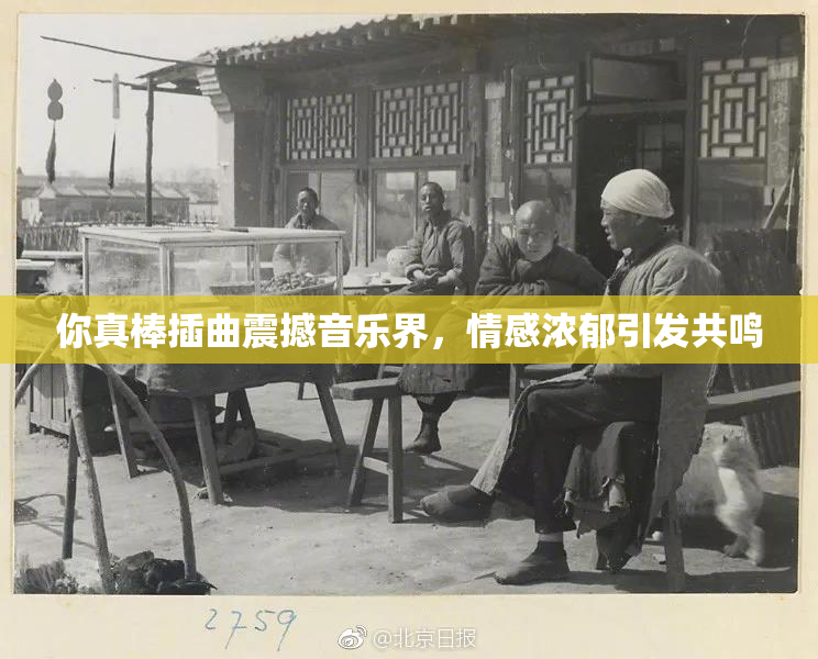 你真棒插曲震撼音乐界，情感浓郁引发共鸣