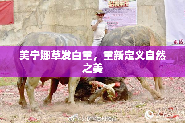 芙宁娜草发白重，重新定义自然之美
