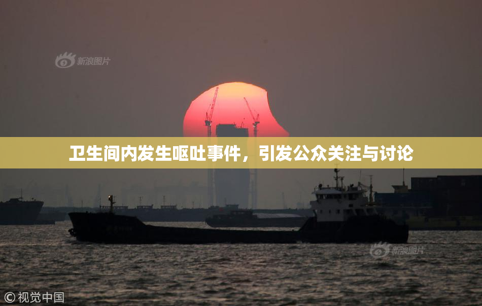卫生间内发生呕吐事件，引发公众关注与讨论
