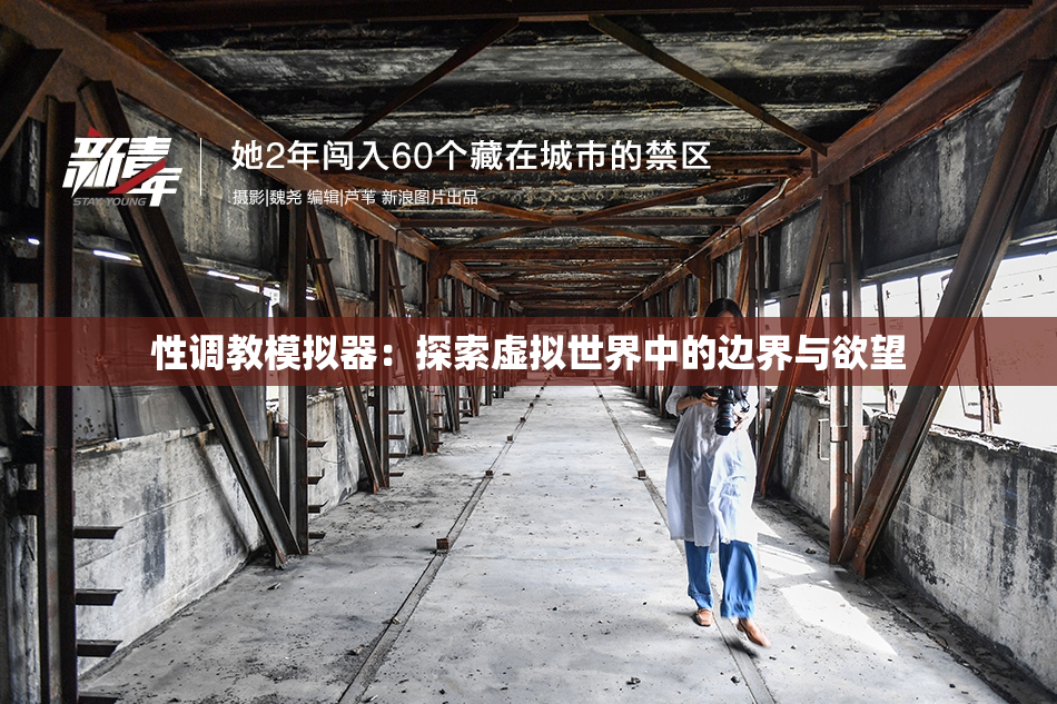性调教模拟器：探索虚拟世界中的边界与欲望