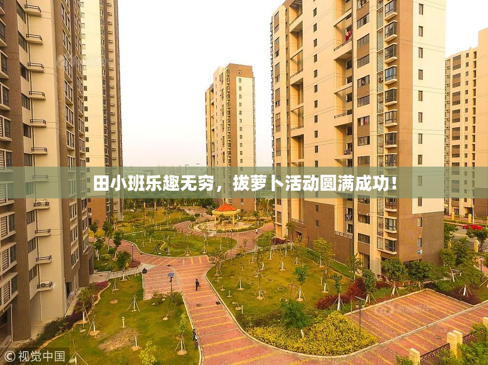 田小班乐趣无穷，拔萝卜活动圆满成功！