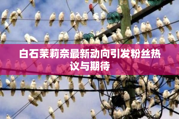 白石茉莉奈最新动向引发粉丝热议与期待