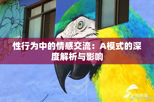 性行为中的情感交流：A模式的深度解析与影响