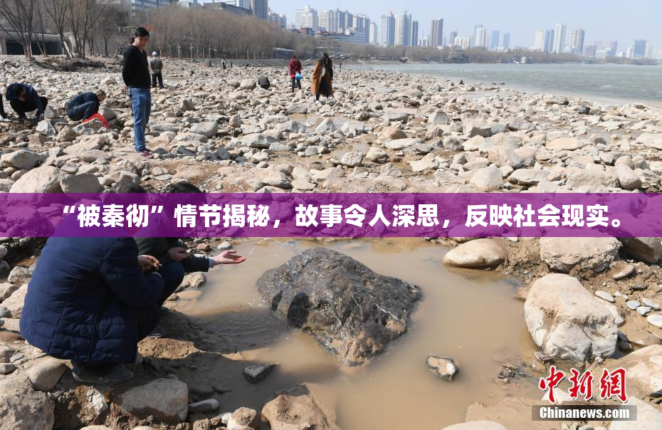 “被秦彻”情节揭秘，故事令人深思，反映社会现实。