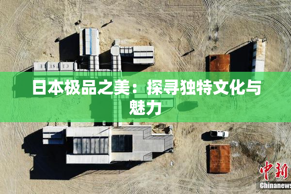 日本极品之美：探寻独特文化与魅力