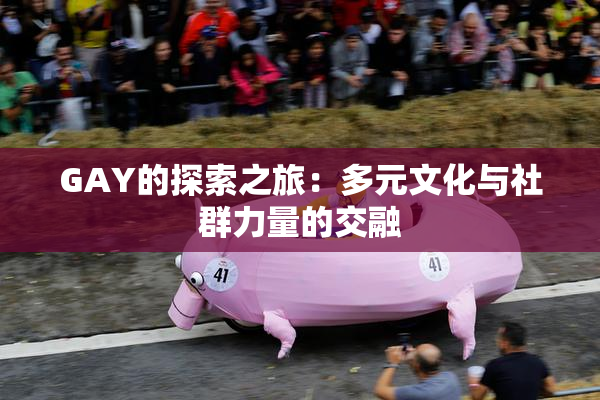 GAY的探索之旅：多元文化与社群力量的交融