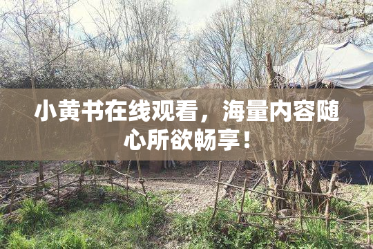 小黄书在线观看，海量内容随心所欲畅享！
