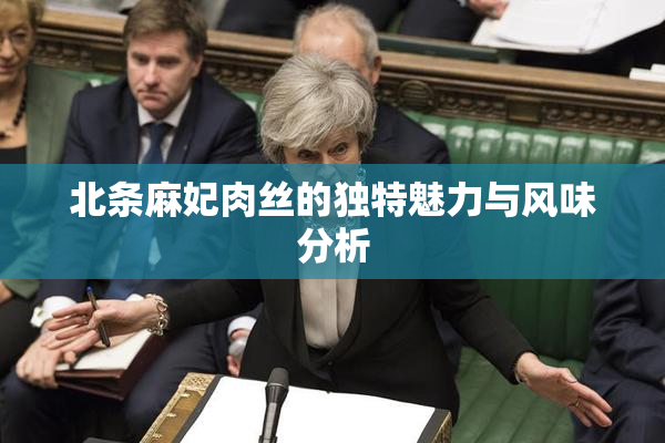 北条麻妃肉丝的独特魅力与风味分析