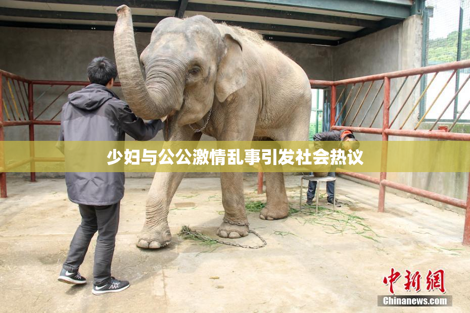 少妇与公公激情乱事引发社会热议