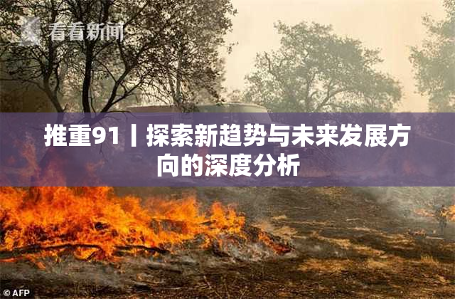 推重91丨探索新趋势与未来发展方向的深度分析