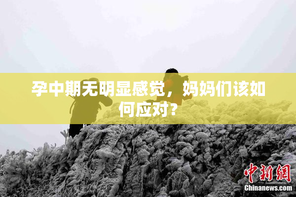 孕中期无明显感觉，妈妈们该如何应对？