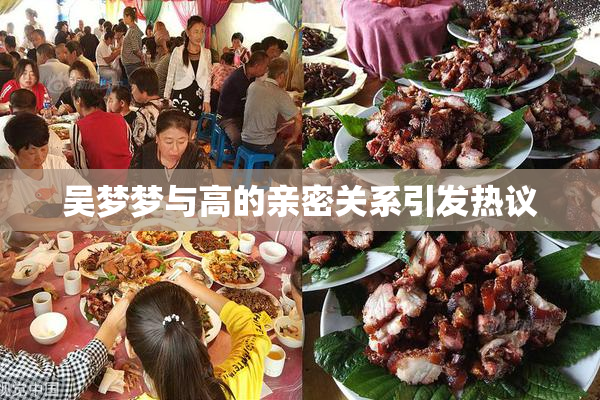 吴梦梦与高的亲密关系引发热议