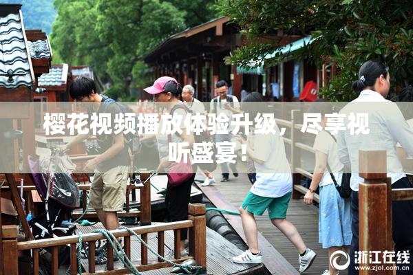 樱花视频播放体验升级，尽享视听盛宴！