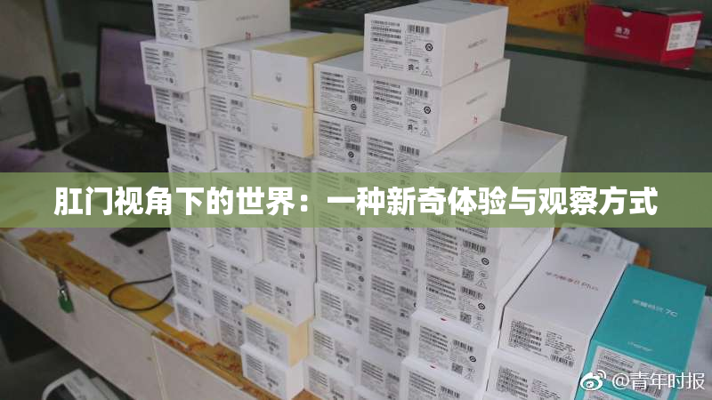肛门视角下的世界：一种新奇体验与观察方式