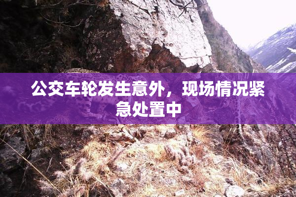 公交车轮发生意外，现场情况紧急处置中
