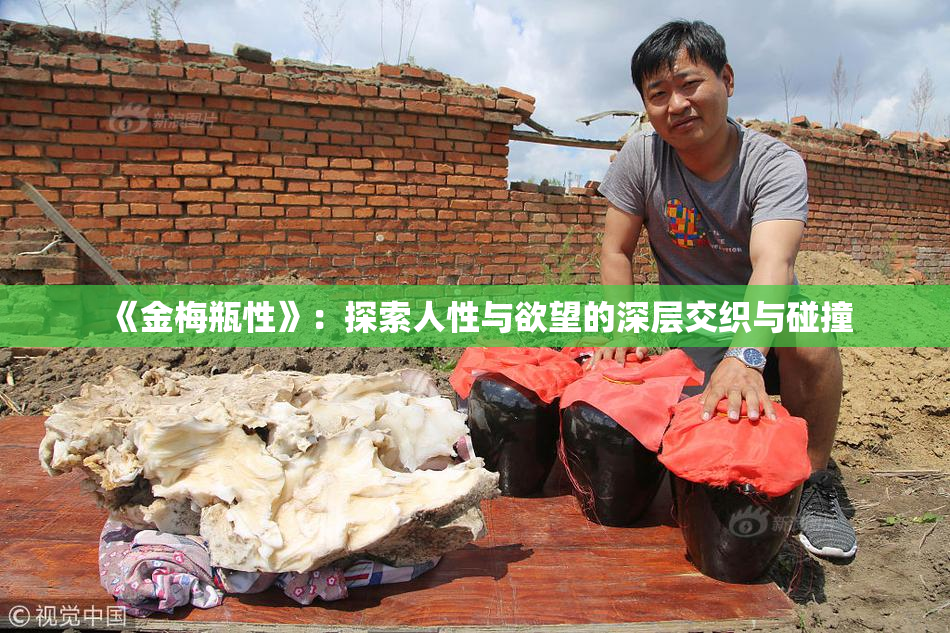 《金梅瓶性》：探索人性与欲望的深层交织与碰撞