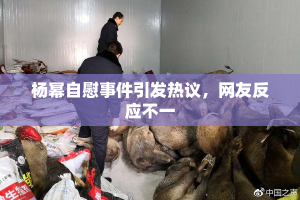 杨幂自慰事件引发热议，网友反应不一