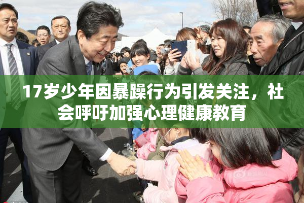 17岁少年因暴躁行为引发关注，社会呼吁加强心理健康教育