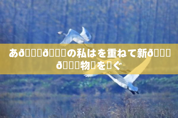 あ🍑👅の私はを重ねて新👅🍑物語を紡ぐ