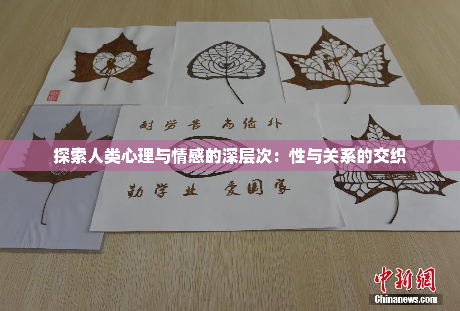 探索人类心理与情感的深层次：性与关系的交织