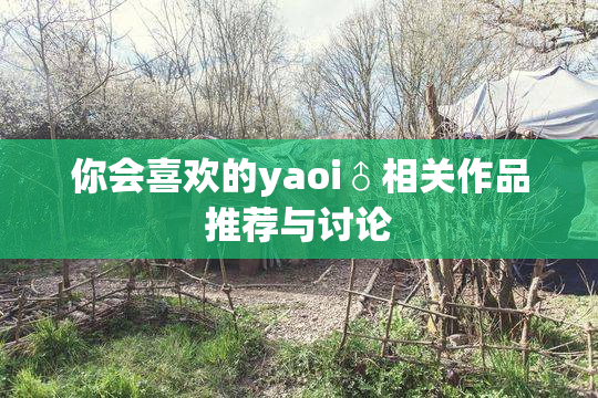 你会喜欢的yaoi♂相关作品推荐与讨论