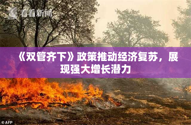 《双管齐下》政策推动经济复苏，展现强大增长潜力