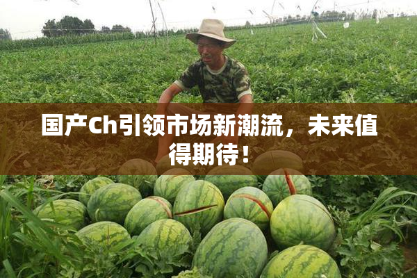 国产Ch引领市场新潮流，未来值得期待！