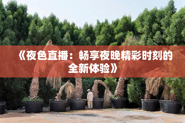 《夜色直播：畅享夜晚精彩时刻的全新体验》